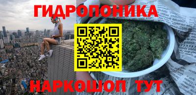 экстази Можга